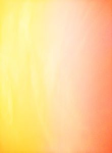 photo-1591968743883-decc954ccce8